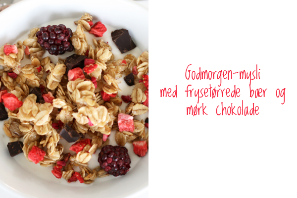 Godmorgen mysli med frysetørrede bær og chokolade