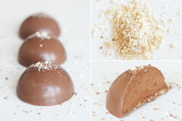 Chokoladebomber med chokolademousse - praline - hasselnødder - Amedei Toscano Brown